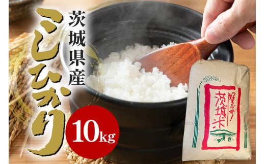 【令和6年産】石岡市産コシヒカリ10kg 限定30袋 精米 米 お米 こしひかり 白米 こめ コシヒカリ 10.0kg ブランド米 取り寄せ 特産 ごはん ご飯 コメ お取り寄せ ギフト 贈り物 お弁当 弁当 おにぎり ふっくら ツヤツヤ 甘い 農家直送 産地直送 数量限定 国産 茨城県産 石岡市 贈答 (B05-002) 1512921 - 茨城県石岡市