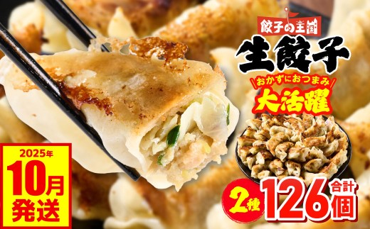 餃子の王国 人気生餃子 126個 2種類 黒豚生餃子30個/工場直売生餃子96個 餃子 セット 食べ比べ 詰合せ ギョウザ ぎょうざ 中華 ショウガ おかず 惣菜 国産 八代市東陽町の生姜を使用 熊本県 九州 冷凍【2025年10月発送】