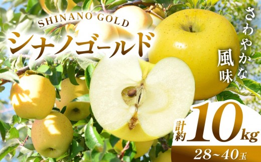 【先行予約】信州産 塩尻エールりんご！果汁たっぷり シナノゴールド 約10kg（ 28～40玉）【10月中旬頃～発送予定】| 果物 くだもの フルーツ 林檎 りんご リンゴ シナノゴールド 果実 アップル 長野県 塩尻市