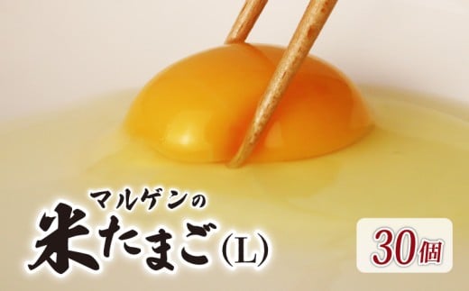 マルゲンの米たまご Lサイズ 30個 卵 たまご 鶏卵 にわとり 新鮮 こだわり 朝食 昼食 夕食 目玉焼き 卵焼き 玉子焼き たまご焼き 卵かけご飯 たまごかけご飯 オムレツ ゆで卵 卵料理 生卵 国産 産地直送 安心 安全 破損保証 割れ保証 送料無料 千葉県 旭市 有限会社マルゲン mrg001