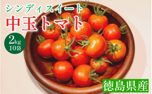 トマト 2kg ( 200g×10袋 ) 高地栽培 徳島県産 中玉トマト シンディスイート 高糖度 新鮮 旬 季節 贈り物 ギフト 贈答 プレゼント 野菜 おかず サラダ ジュース 徳島県 三好市 みよし miyoshi 三好野呂内野菜生産加工組合