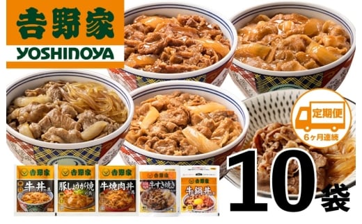 【定期便 ６ヶ月】吉野家 人気５種１０袋セット（冷凍）