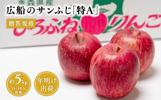【1~2月】青森県産 贈答規格 広船のサンふじ 約5kg「特A」【広船アップルクラブ】サンふじ ふじ 広船 年明け 青森 青森県産 平川 りんご リンゴ 林檎 くだもの 果物 フルーツ 