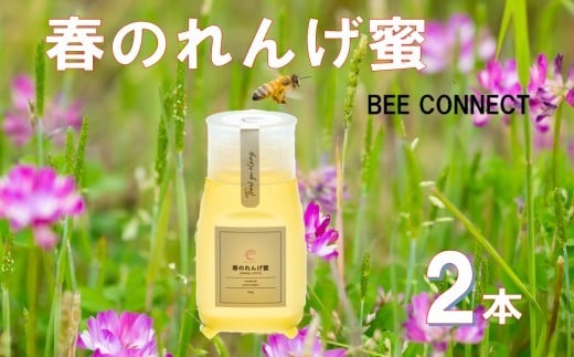 春のれんげ蜜 2本 セット 合計600g (300g×2本) 鹿児島 はちみつ 蜂蜜 れんげ蜜  AS-8108