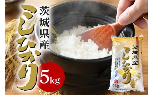 【令和6年産】石岡市産コシヒカリ 5kg 精米 限定30袋 米 お米 こしひかり 白米 こめ コシヒカリ 5.0kg ブランド米 取り寄せ 特産 ごはん ご飯 コメ お取り寄せ ギフト 贈り物 お弁当 弁当 おにぎり ふっくら ツヤツヤ 甘い 農家直送 産地直送 数量限定 国産 茨城県産 石岡市 5.0キロ 贈答 (B05-001) 1505947 - 茨城県石岡市