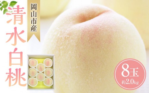 桃 2026年  清水 白桃 8玉 合計約2.0kg もも モモ 岡山市産 国産 フルーツ 果物 ギフト 776202 - 岡山県岡山市