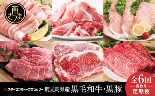 【定期便 全6回】スターゼン厳選お肉の定期便（鹿児島県産黒毛和牛・黒豚） 牛肉 豚肉 サーロイン ステーキ 切り落とし しゃぶしゃぶ 焼肉 すき焼き もも モモ バラ ロース スライス 小分け 定期便 冷凍 スターゼン 南さつま市