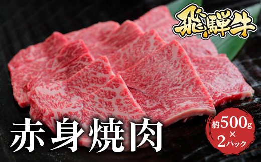 飛騨牛 赤身焼肉　約500g×2枚※北海道・沖縄・離島への配送不可