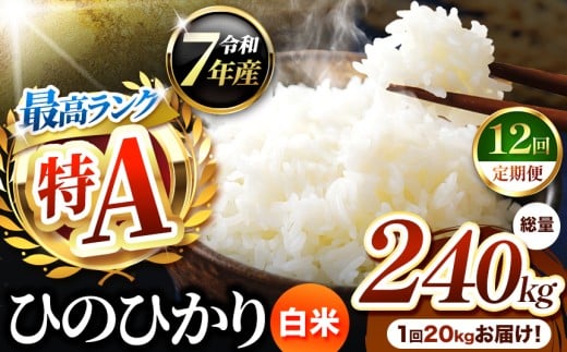 【 定期便 12回 】熊本県産 ひのひかり 白米 20kg | お米 米 こめ おこめ 精米 白米 ヒノヒカリ 20キロ ご飯 国産 国産米 定期 くまもと 熊本 熊本県 玉名市 玉名