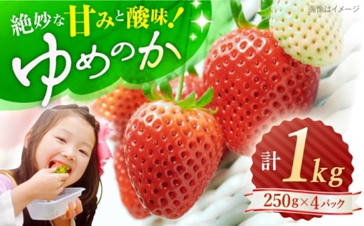 いちご 【先行予約】 ゆめのか いちご 計 1kg （250g×4パック） 長崎 西海 イチゴ いちご 苺 ゆめのか いちご 贈答 ギフト 9千円 9000円 1万円以下 ＜川原農園＞ [CDR009] 523249 - 長崎県西海市
