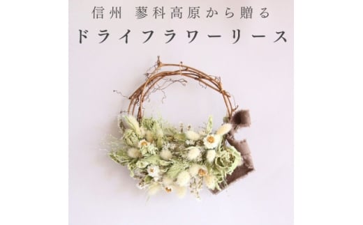 信州八ヶ岳の麓から贈るドライフラワーリース Sハーフ(グリーン)【1659526】