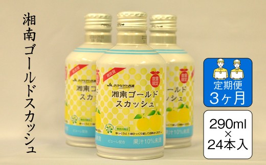 【定期便3ヶ月】湘南ゴールドスカッシュ　290ml×24本入り【 神奈川県 山北町 】 2260009 - 神奈川県山北町