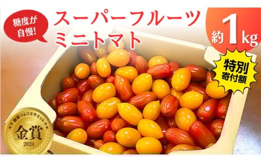 【 早期申込み限定 特別寄附額 】 スーパーフルーツ ミニトマト 約1kg 2026年産 野菜 フルーツトマト フルーツ トマト とまと [AF096ci]
