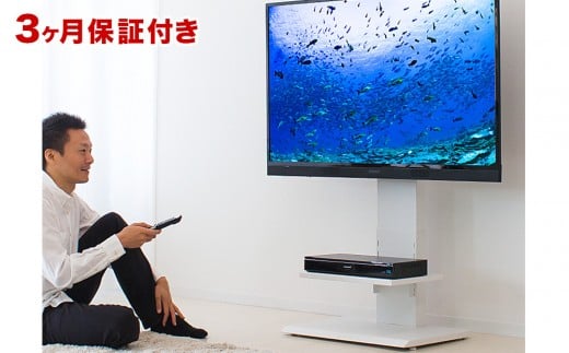 壁掛け風テレビ台 ロータイプ ホワイト AKU100959802 641925 - 和歌山県海南市