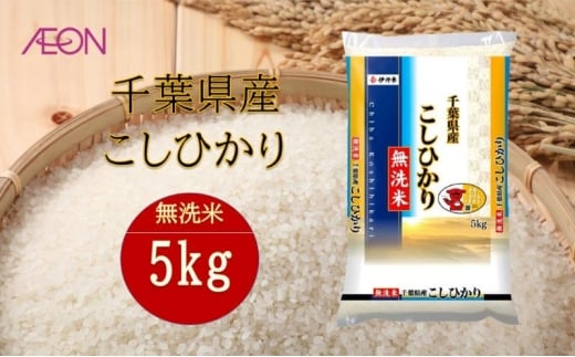 令和7年産　千葉県産 無洗米コシヒカリ5kg　米 お米 こめ コメ 白米 精米 ブランド米 こしひかり ご飯 ごはん おにぎり お弁当 [№5346-1943]