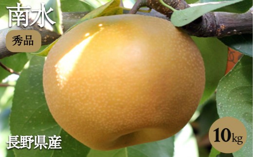 ジューシーで甘い! 長野県産 なし 南水 約10kg 秀品 [2025年9月中旬〜10月中旬発送]| 果物 くだもの フルーツ 南水 梨 なし 南水 長野県 信州 南信州 飯田市