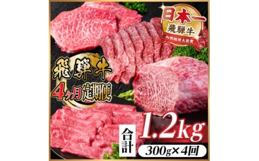 ＜毎月定期便＞飛騨牛 赤身定期便 計1.2kg 焼肉 BBQ すき焼き しゃぶしゃぶ ブロック全4回【4072753】