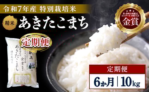 【定期便6ヶ月】【令和7年産】特別栽培米 あきたこまち 精米 10kg【渡部 浩見】[F2122]
