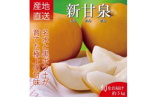 新甘泉　5kg