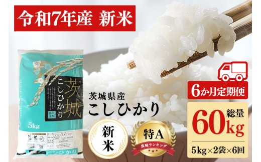 【6ヶ月定期便】令和7年産 新米 コシヒカリ 米 10kg (5kg×2袋) 計60kg 白米 こめ こしひかり 国産 国産米 取り寄せ ごはん ご飯 コメ お取り寄せ お弁当 弁当 おにぎり 産地直送 特産  ギフト プレゼント 贈り物 茨城県 笠間市 いばらき