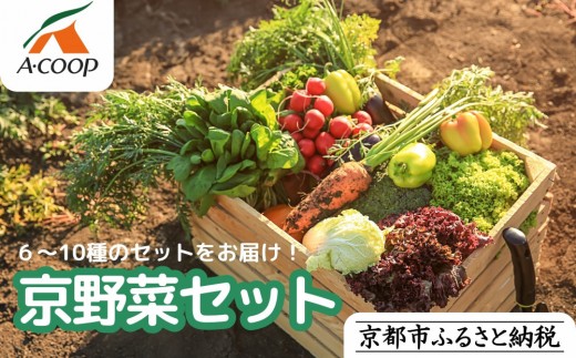 【エーコープ京都中央】おまかせ京野菜セット［ 京都 野菜 新鮮 人気 おすすめ 美味しい 旬の野菜 上賀茂野菜 スタッフ厳選 詰め合わせ お取り寄せ 通販 送料無料 ふるさと納税 ］ 2223059 - 京都府京都市