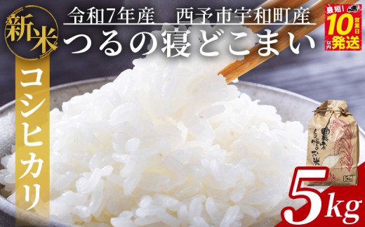 新米 [令和7年産 コシヒカリ「つるの寝どこまい」約5kg 西予市宇和町産] 2025年産 こしひかり お米 コメ こめ 白米 精米 ご飯 ごはん 穀物 ライス SDGs 共生 楠 健明 愛媛県 西予市[常温]『10営業日以内に順次発送予定』