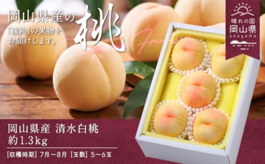 桃 2026年 岡山県産 清水白桃 約1.3kg 5～6玉（クール便）