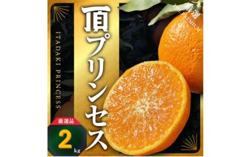 ＜紅プリンセス同品種＞愛媛県産 新品種柑橘 愛果48号＜甘平×まどんな＞2kg＜D31-56＞【1660048】