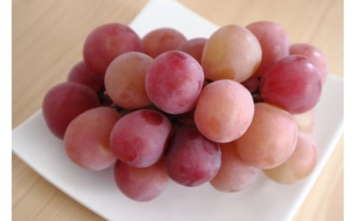 朝摘み クイーンルージュ🄬 900g~1kg 2房｜果物 フルーツ 赤ぶどう 葡萄 ブドウ 種無し 種なし 皮ごと 千曲市 長野県 信州