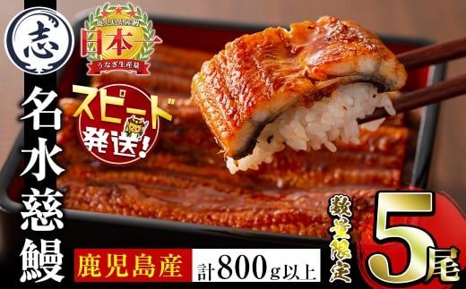【志布志市制20周年記念】【数量限定】国産うなぎ蒲焼名水慈鰻5尾（合計800ｇ以上） うなぎ 鰻 ウナギ 5尾 国産 蒲焼 かばやき 冷凍 真空 真空パック 無頭 うな重 ひつまぶし タレ 山椒 b98-001