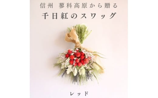 信州八ヶ岳の麓から贈る 千日紅のドライフラワースワッグM(レッド)【1659601】