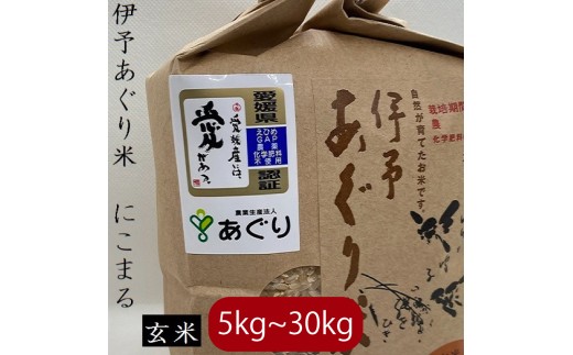 【選べるキロ数】米 玄米 30kg 伊予あぐり米「にこまる」 令和7年産 米 農薬・化学肥料不使用 米 玄米 令和7年産 米 お米 こめ 農薬・化学肥料不使用 こだわりのお米 愛媛県 松前町 松前 まさき 愛媛 えひめ おこめ 有限会社あぐり 愛媛県産米 松前町産米 美味しいお米   お米 贈答 贈り物 愛媛県 松前町 有限会社あぐり