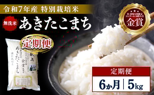 【定期便6ヶ月】【令和7年産】特別栽培米 あきたこまち 無洗米 5kg【渡部 浩見】[Q6-2101]