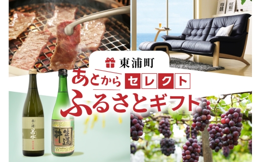 あとからセレクト【東浦町ふるさとギフト】300万円分 2256454 - 愛知県東浦町