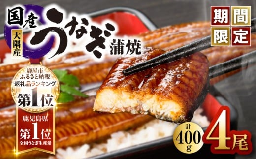【期間限定】鹿児島県大隅産うなぎ蒲焼4尾（400g）　KN007-023 2258673 - 鹿児島県鹿屋市