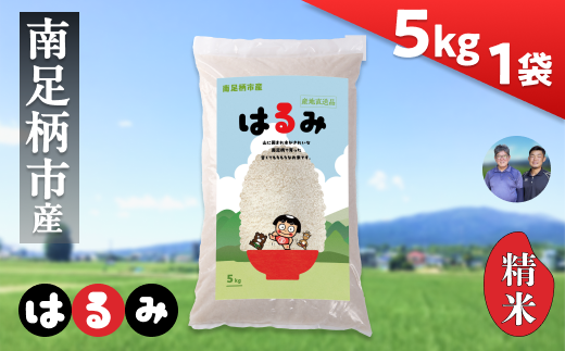 令和7年 新米 南足柄産のブランド米「はるみ(精米)」 5kg×1袋 ＜出荷時期：2025年10月末頃より順次出荷予定＞【 お米 神奈川県 南足柄市 】 2255515 - 神奈川県南足柄市