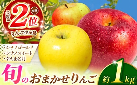 【先行予約】信州産 塩尻エールりんご！旬のおまかせりんご 約1kg(3～5玉)【9月中旬頃～発送予定】 シナノゴールド・シナノスイート・ぐんま名月から旬のりんごをお届け！ | 果物 くだもの フルーツ 林檎 りんご リンゴ シナノゴールド シナノスイート ぐんま名月 おまかせ  長野県 塩尻市 2188189 - 長野県塩尻市