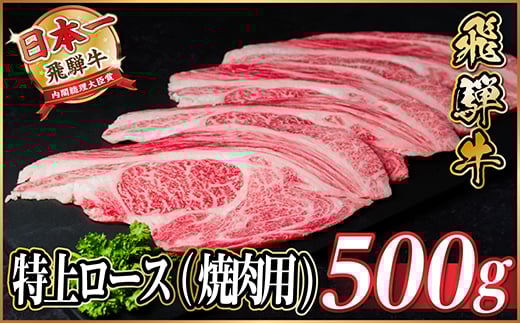 レビューキャンペーン実施中!飛騨牛　特上ロース(焼肉・BBQ用)500g　A5等級　黒毛和牛 　【1543790】 1478333 - 岐阜県羽島市