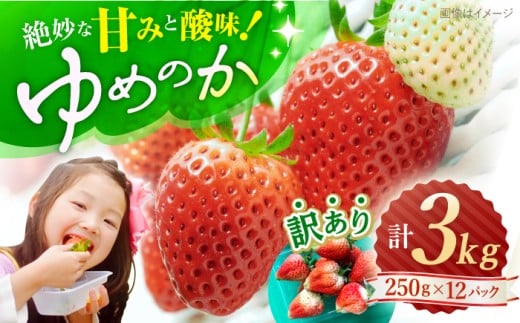 いちご 【先行予約】【 訳あり 】 ゆめのか いちご 計3kg（250g×12パック） ＜川原農園＞ [CDR006]  長崎 西海 イチゴ いちご 苺 ゆめのか いちご 訳あり 家庭用   259031 - 長崎県西海市
