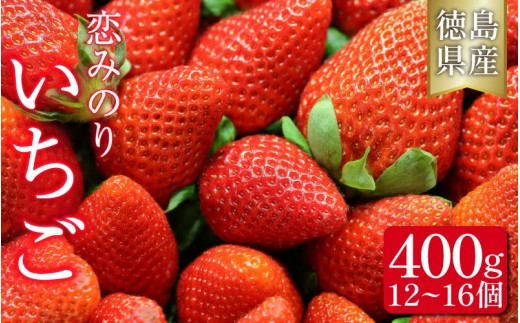 いちご 恋みのり 400g 果物 フルーツ 苺 ストロベリー ジャム スムージー 洋菓子 家族 子ども フルーツサンド フルーツ大福 いちご大福 苺大福 人気 オススメ お取り寄せ グルメ いちご狩り いちごはうす 近藤 民宿 農家民宿 徳島 三好 みよし