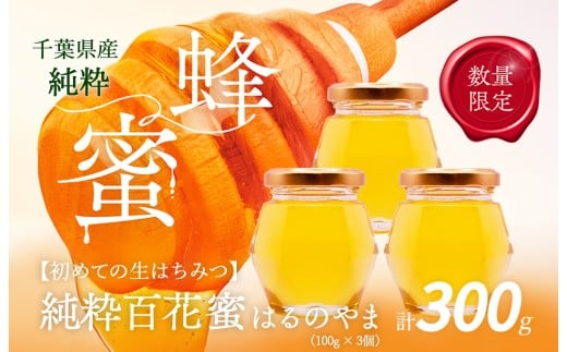 千葉県産「純粋はちみつ」はるのやま(百花蜜)3個 【 ふるさと納税 ハチミツ 蜂蜜 はちみつ お菓子作り おかしづくり セット 非加熱 生 千葉 大網白里市 送料無料 】 X008