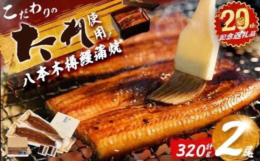 [志布志市制20周年記念][数量限定]国産 八本木樽鰻の蒲焼 160g以上×2尾[計320g以上] うなぎ 鰻 ウナギ 2尾 国産 九州産 蒲焼き かばやき 冷凍 うな丼 うな重 ひつまぶし タレ 山椒 ランキング 人気