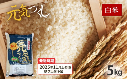  令和7年産　福岡県産ブランド米「元気つくし」白米5kg【11月上旬頃より順次出荷予定】