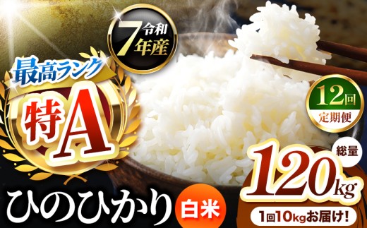 【 定期便 12回 】熊本県産 ひのひかり 白米 10kg | お米 米 こめ おこめ 精米 白米 ヒノヒカリ 10キロ ご飯 国産 国産米 定期 くまもと 熊本 熊本県 玉名市 玉名