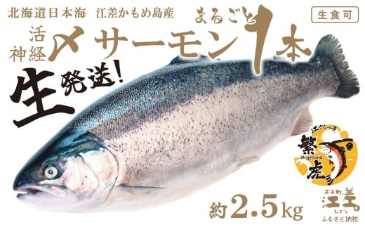 ＼早期予約・2026年4～5月限定出荷／生発送！【1本まるごと】活〆・神経〆 北海道産 サーモン 約2.5kg  1尾　生食用　漁師直送　冷蔵便　日本海 かもめ島海面養殖　純国産 ブランドサーモン『江さしっ子 繁虎』　衝撃の口どけ　とろける脂　生食可　冷凍　トラウトサーモン　刺身　サーモンステーキ　カルパッチョ　海鮮　鮭　さけ　シャケ　しゃけ　さーもん