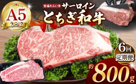 【栃木県共通返礼品】【定期便6回】宮福笑牛（とちぎ和牛） A5 サーロインステーキ　約200gx4枚 | 定期便 和牛 A5ランク サーロイン ステーキ 美味しい 高級 ご褒美 肉 お肉 おにく にく ふるさと 納税 送料無料 那珂川町 栃木県