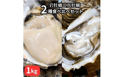 篠島2種の天然殻付きカキ1kg(岩牡蠣&真牡蠣)食べ比べセット 生食用/CAS冷凍　海鮮BBQに