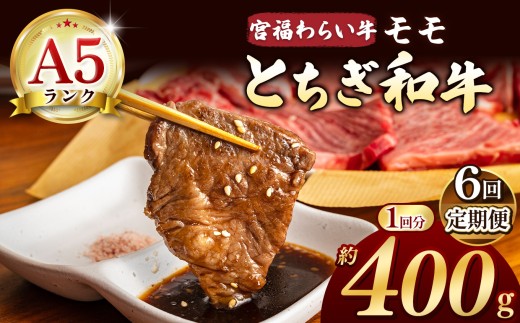 【栃木県共通返礼品】【定期便6回】宮福笑牛（とちぎ和牛） A5 モモ焼き肉 約400g | 定期便 和牛 A5ランク モモ肉 焼肉 弾力 しっかり 美味しい 高級 ご褒美 肉 お肉 おにく にく ふるさと 納税 送料無料 那珂川町 栃木県 2261030 - 栃木県那珂川町