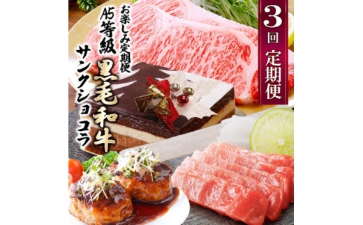 <数量限定>3回定期便 A5等級黒毛和牛・サンクショコラ EE0-0008【1653121】 2257497 - 鹿児島県枕崎市