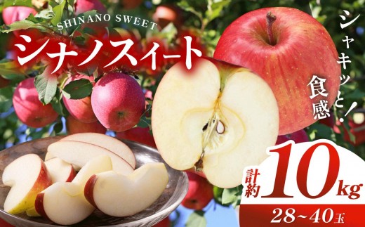 【先行予約】信州産 塩尻エールりんご！ シナノスイート 約10kg （28～ 40玉 ）【10月上旬頃～発送予定】| 果物 くだもの フルーツ 林檎 りんご リンゴ シナノスイート 長野県 塩尻市